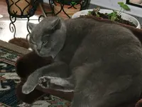 DSCF4963.webp