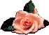 blume-0082.gif