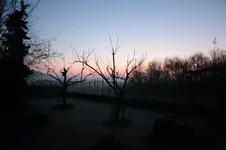 01.03 (4).webp