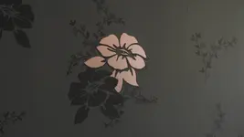 DSCF4851.webp