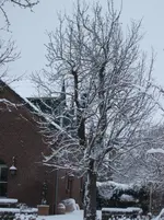 DSCF4339.webp