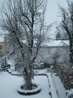 DSCF4381.webp
