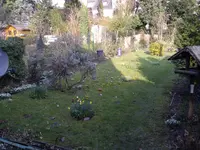 IMGP3548.webp