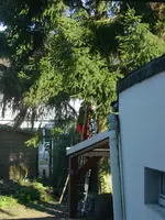 DSC07514.webp