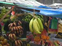 DSCN1551.webp