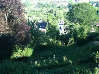 Gartenforum.webp
