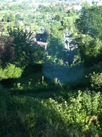 Gartenforum 2.webp