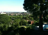 Gartenforum Nachbars Garten 2.webp