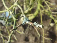 DSC00055.webp