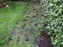 Weg (1).webp