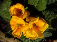 147.webp