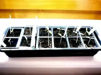 05022011-1.webp