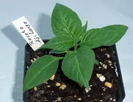 DSCF2853.webp
