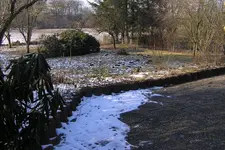 P2220026.webp