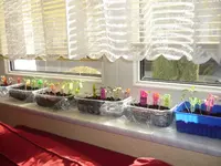 P1010241.webp