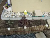 hausbeet nw.webp
