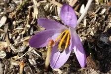 04.03 (8).webp