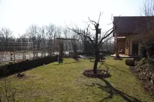 Panorama.webp