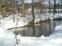 DSC00259.webp