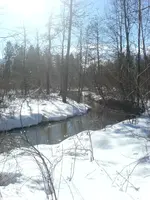 DSC00261.webp