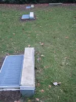 Garten 003.webp Garten 003.webp