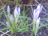 PICT0412.webp
