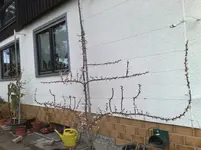 010420102137.webp