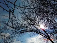 073_Bildgröße ändern.webp