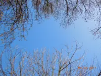 013_Bildgröße ändern.webp