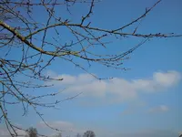 081_Bildgröße ändern.webp