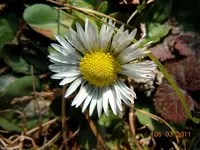 00905.03.2211.webp