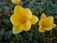01105.03.2211.webp