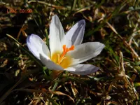 01305.03.2211.webp