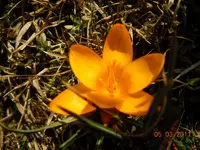 01405.03.2211.webp