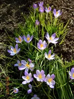01905.03.2211.webp