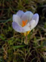 02005.03.2211.webp