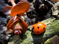 02405.03.2211.webp
