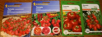 Tomatensamen.webp
