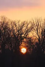 IMG_3089.webp