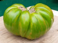 096.webp