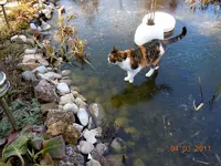 045.webp