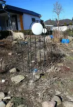 noch sehr kahles Hangbeet.webp