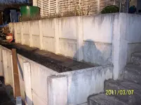 100_1571.webp
