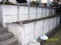 100_1572.webp