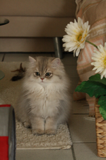 IMG_9853_700x1050.webp