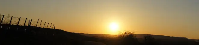 Bingen und Weinberge Sony 089.webp