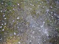 015.webp