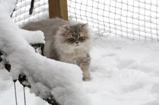 IMG_0426_800x533.webp
