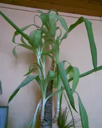 Bild010.webp