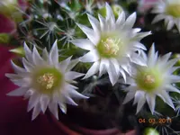 070.webp